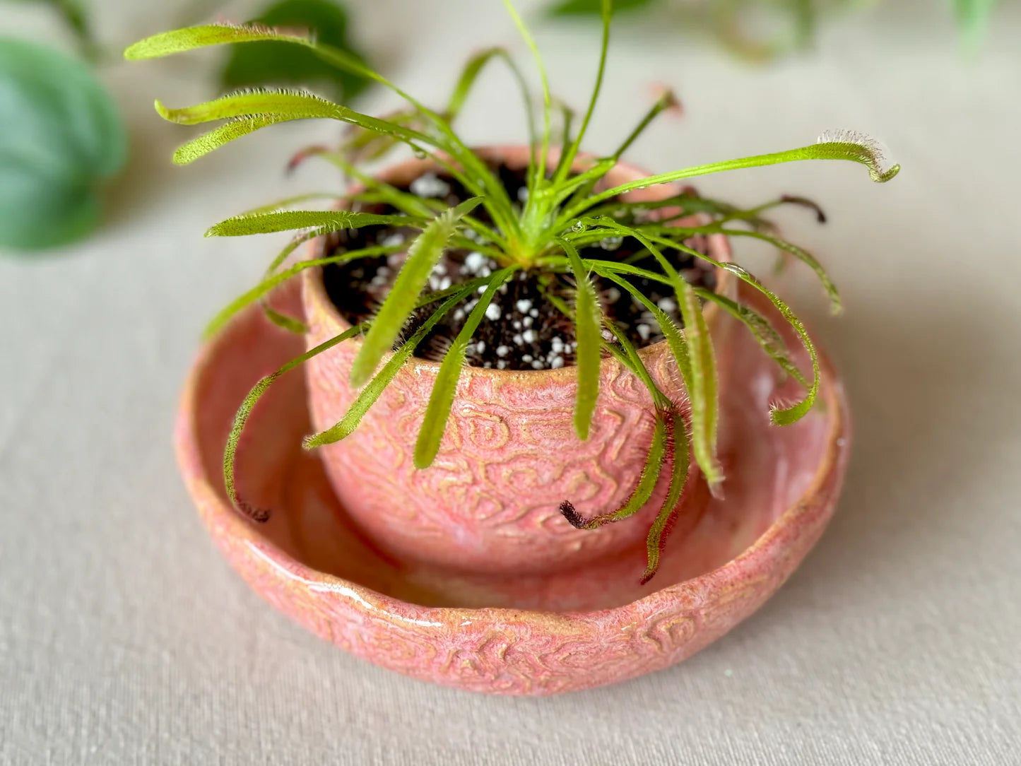 Handmade Pottery Planters